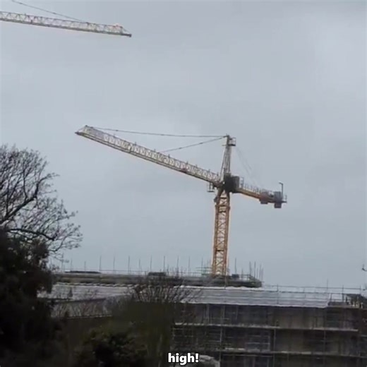 How Tower Cranes Build Themselves: A Fascinating Look