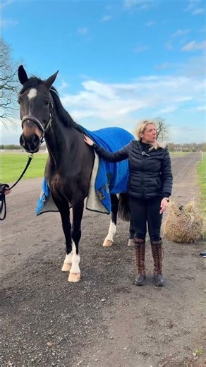 Ace Camp Demonstration on Building Connection At Somerford Park Farm With Melody Hames #horses
