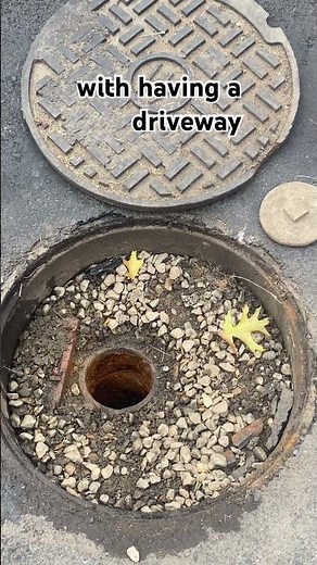 They Put a Driveway Over the Septic Tank…