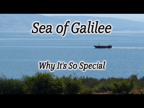 The Sea of Galilee Overview Tour: Magdala, Tabgha, Capernaum, Bethsaida, Kursi, Gennesaret.