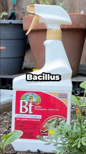 What is Bt (Bacillus thuringiensis)? Eco‑Friendly Pest Control Explained #shorts