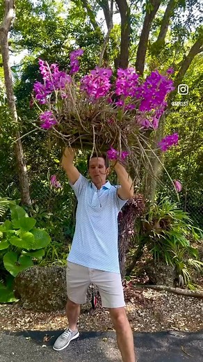 173K views · 9.3K reactions | All along there was some Invisible String 﫦 tying you to me . . 殺 Please Enjoy and Share  﫶’s #Flowers #Orchids #Live #Orchid #Love #Orquidea #Nature #Orquideas #Flower #Sunshine #Friendship #Life #Happy #Peace #Love #GlobalBloom #Garden #Gardening #TaylorSwift #PhotoOfTheDay #VideoOfTheDay ☮️❤️ | Orchid Growing by James Furst | Facebook