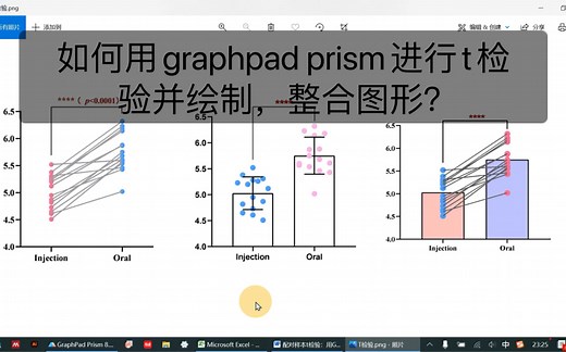 Graphpad prism教程（七）进行T检验并绘制图形，整合图形