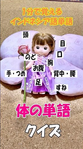 【1分で覚える！インドネシア語単語】体の単語編