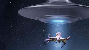 What If Octopuses Are Aliens from Outer Space?