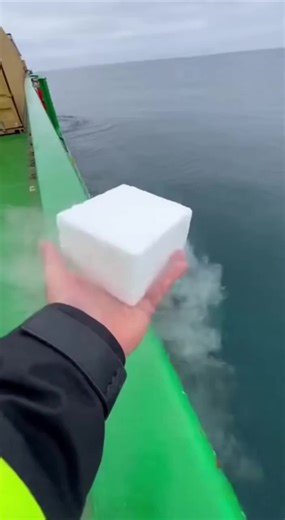 Liquid Nitrogen vs Sea Animals: A Shocking Showdown