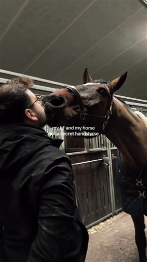 Secret Handshake Between My Horse and Boyfriend