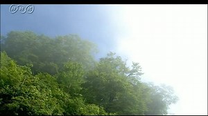 水の循環 | NHK for School