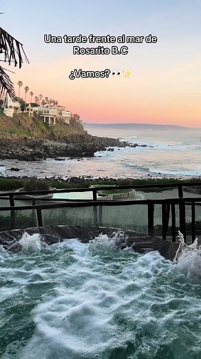 Ven a disfrutar de este hermoso lugar con buena compañía 🙌🏻✨ - Ubicado en rosarito b.c, visita nuestra pagina web en el enlace en nuestro perfil 📍🏝️ - - #airbnb #sandiego #rosarito #vacation