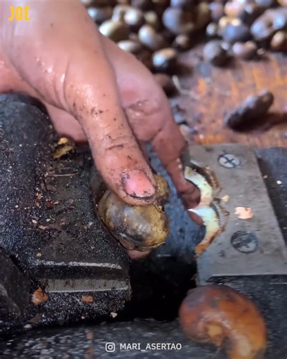 Nut cracking made easy 🤩 | JOE.co.uk