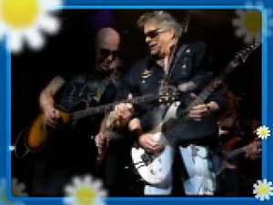 MOUNTAIN - Long Red - Rap Rootz