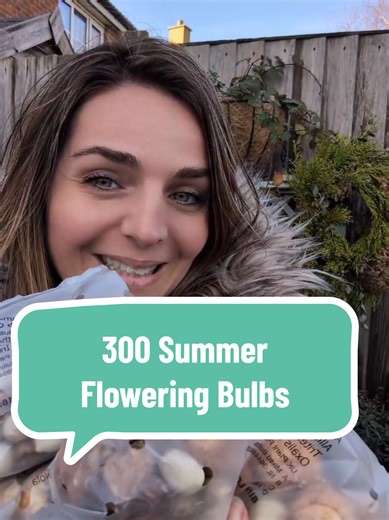 300 Summer Flowering Bulbs for Continuous Blooms