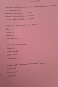 QUESTION 1i) The three germ layers; namely ectoderm, endoderm... | Filo