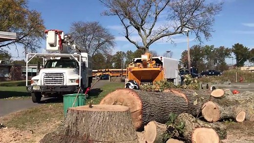 Hanover gets new mayor, new redevelopment plan for Pine Plaza