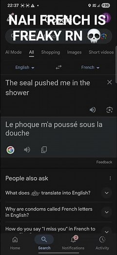 Putting random stuff into Google translate
