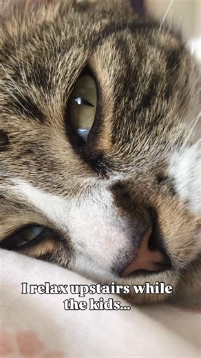 Jayne Marie | Cosmo cat was cozy upstairs 🐱 The kids? Busy creating colour magic ✨ Magic milk + colour mixing = instant fun. Follow for more playful... | Instagram