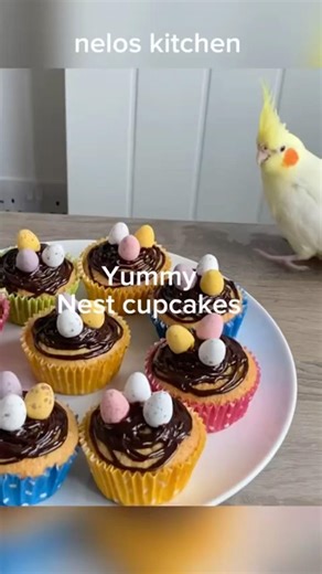 Yummy nest cupcakes
