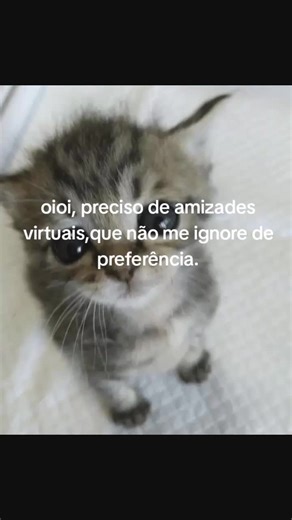 Buscando Amizades Virtuais: Conexões Verdadeiras