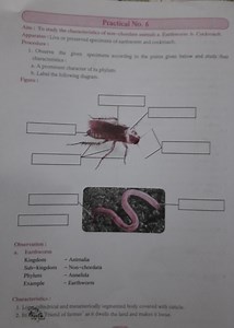 Practical No. 6 Apparatus   Live or preserved pecimens of earth... | Filo