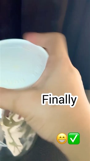 The Great Insect Catch Challenge! For fun 😅