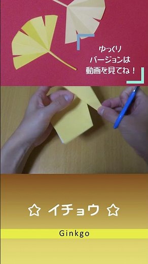 【秋の折り紙】簡単！ イチョウ 切り方 切り紙 / Origami Ginkgo Kirigami #shorts #折り紙 #origami