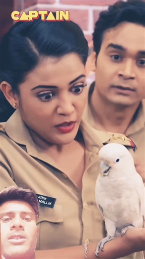 काम धंधा छोड़कर सब तोतेबाजी में लग गए है