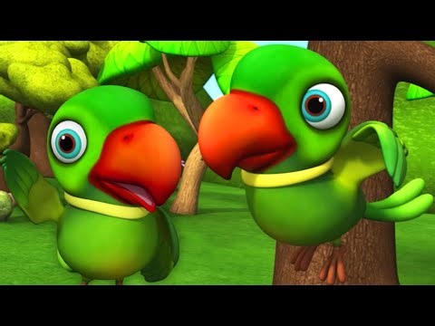 मिट्ठू मिट्ठू 🦜 मैं तोता 🦜 मैं तोता 🦜 #parrot #trending #talkingparrot #viralvideo