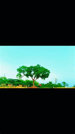 you can't short cinematic with an android.....short ..... video