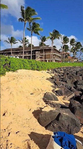 Valentine Day "Live" Koa Kea, Marriott Waiohai, Sheraton Poipu, kiahuna-Outrigger & Castle resorts