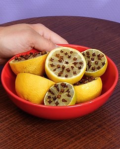 44K views · 84 reactions | Don't let the pesky pests pester you again: Try these cool pest control hacks | 5-Minute Crafts Family | Facebook