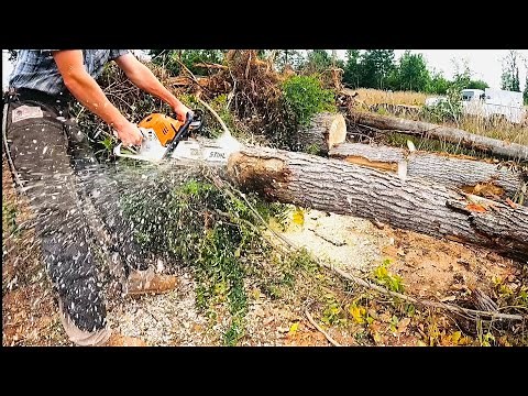 How to buck logs without pinching your chainsaw.