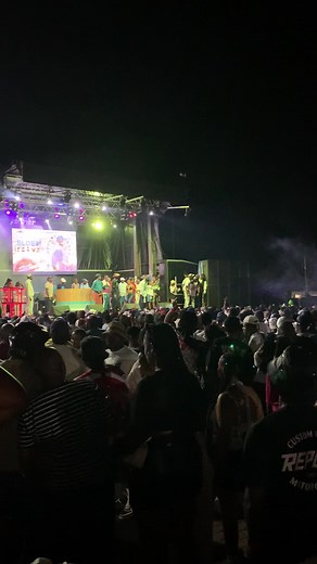 Understanding Propaganda Through Block Parties