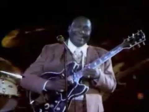 B.B King - Lucille(live)