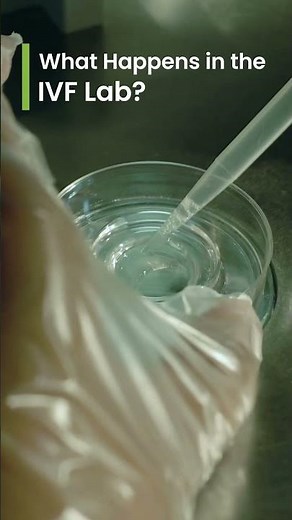 What Happens in the IVF Lab?