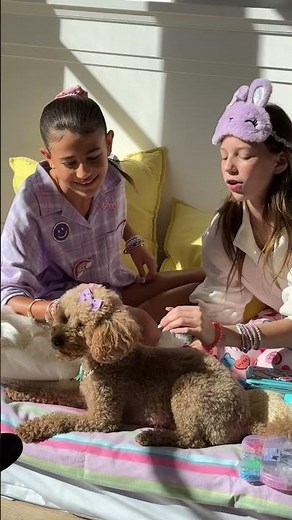 Summer Starts at Claire's