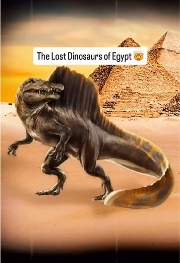 Lost Dinosaur Fossils of Egypt & New Discovery