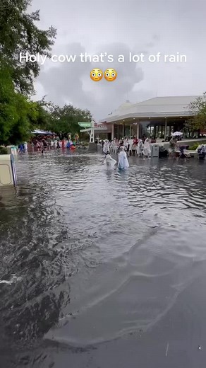 Flooding at Disney World: A Wet Surprise