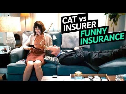 Entry #5 Cat vs Insurance Agent Allstate Mayhem