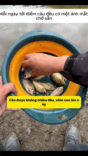 Cậu ta nhớ tôi, hay chỉ nhớ cá thôi?#LIVEIncentiveProgram #LIVECanBeEasy #PaidPartnership