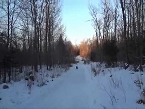 Flexible Flyer on NERSA championship trail Hogback Mountain, Maine 2012