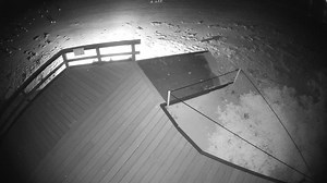 🐧 Waddle these penguins get up to at night? 🐧 Did you know that we run a citizen science program to help monitor the colony of little penguins on Penguin Island? Every night the penguins return to the island after a day spent on the ocean. We use remote cameras to capture the penguins as they return to the island each night, with the data used to help track the size of the colony. Best of all, the analysis can be done from home through our web based platform! If you’re interested in being a pa