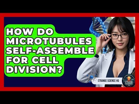 How Do Microtubules Self-assemble For Cell Division? - Strange Science HQ