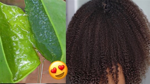 DIY deep conditioning hair mask with aloe vera, egg & olive oil | Ultimate natural hair treatment!