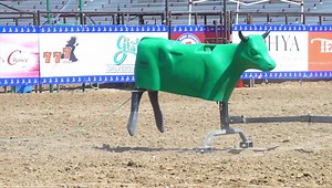 Used by the best ropers in the industry, the realistic qualities and durability of Smarty training products are second to none! Order yours today! www.SmartyTraining.com | Smarty Supply Co.