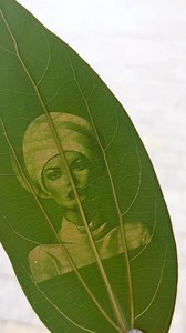 209 reactions · 8 comments |  Transform ordinary leaves into extraordinary works of art with the xTool F1 Ultra!  The F1 Ultra's precision laser allows you to etch detailed designs onto delicate leaves, watch the video and see how easy it is to create intricate and beautiful leaf engravings.✨ | xTool | Facebook