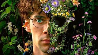 El jardinero - película: Ver online completa en español