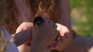 Two Newborn chickens in the hands of a farmer. A woman and a girl are watching black chicks. Small fluffy birds in Caucasian hands. close-up of small chickens on a ranch farm.