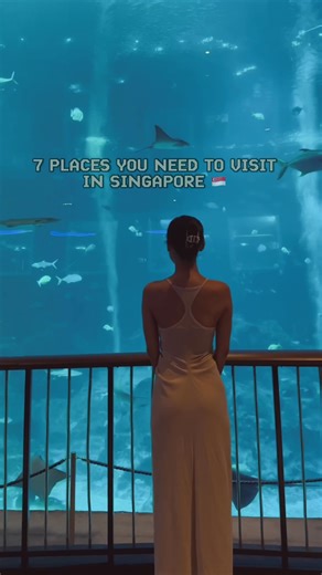 Top 10 Must-Visit Places in Singapore 🇸🇬