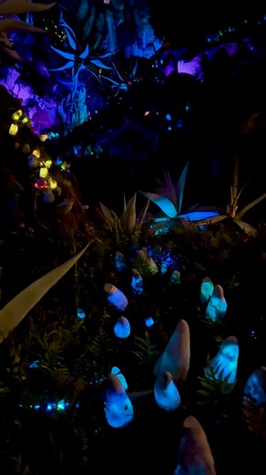 Pandora – The World of Avatar at night! | See WDW