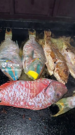 Delicious Basa Fish Recipe with Irresistible Sauce